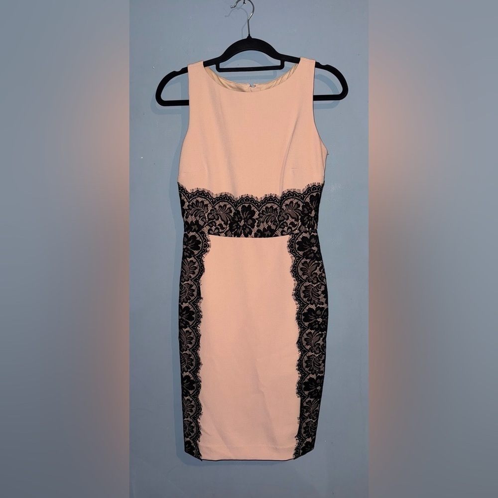 The Limited Pink and Black Lace Dress